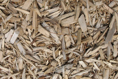 biomass boilers Bilby